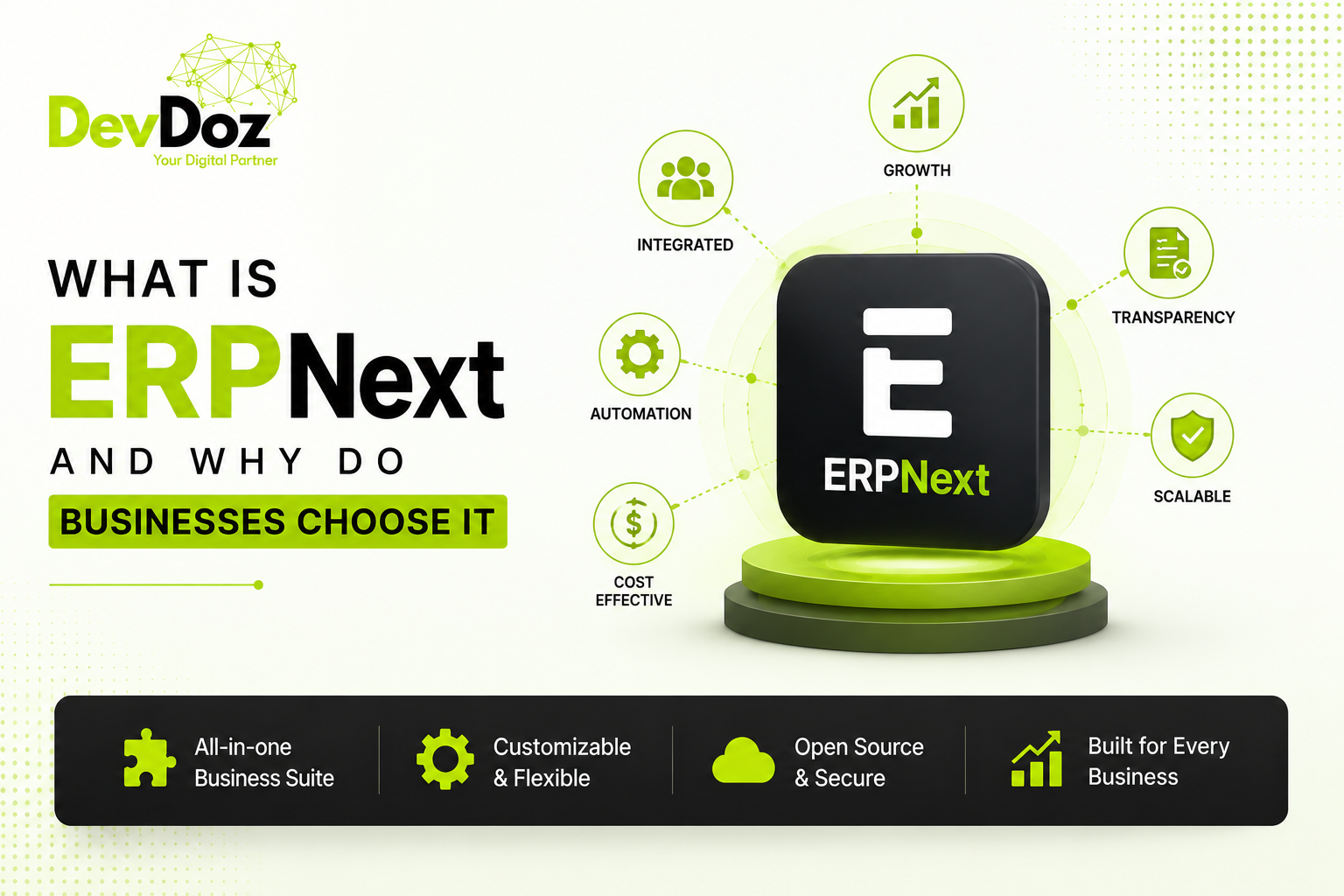 What is ERPNext and why do businesses choose it — DevDoz guide
